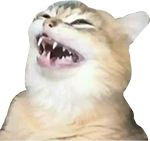 :cat_laugh: